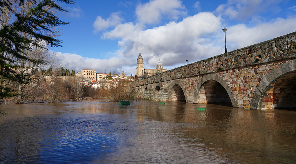 PASEOS POR SALAMANCA - 400º ANIVERSARIO DE LA RIADA DE SAN POLICARPO (12:00h.)