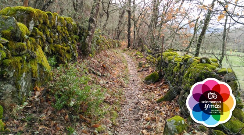 camino natural
