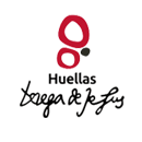 logo sta teresa